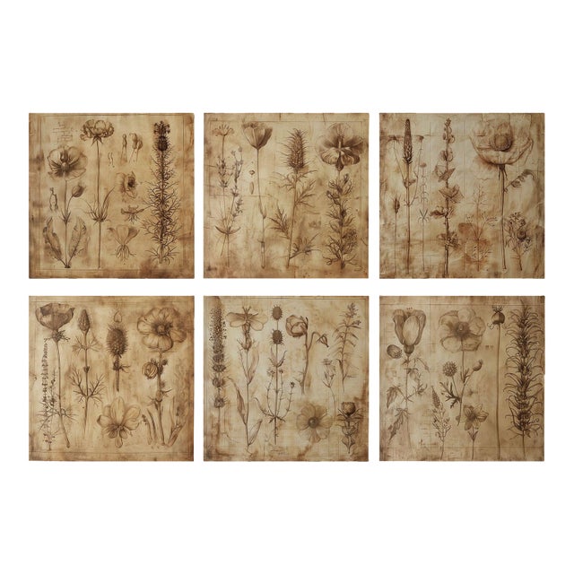 Set of 6 - 54" X 36" Gallery Wall Installation 'Monochrome Sepia Flowers' Herbarium Botanical Floral Prints, Unframed For Sale