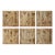 Set of 6 - 54" X 36" Gallery Wall Installation 'Monochrome Sepia Flowers' Herbarium Botanical Floral Prints, Unframed For Sale