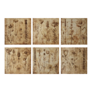 Set of 6 - 54" X 36" Gallery Wall Installation 'Monochrome Sepia Flowers' Herbarium Botanical Floral Prints, Unframed