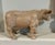 Wonderful Vintage Cow Sculpture Standing 9” High X 15” Long For Sale - Image 6 of 8