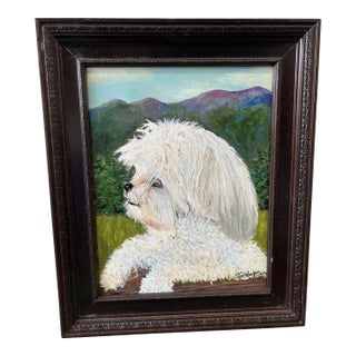 Maltese Portrait by Sally Holmberg For Sale