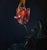 Contemporary Svetoslav Stoyanov, Rising, 2023, Oil Painting on Canvas For Sale - Image 3 of 6