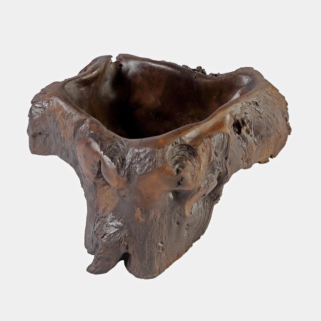 Dark Brown Organic Sculptured Bowl For Sale In Greensboro - Image 6 of 8