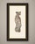 This antique hirschfeld anatomy print of the nervous system of the whole body is double plate 73 and 74 from hirschfeld...