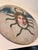 Allegorical Hand-Painted Oil on Wood Baroque Wall Hanging Plaque of Winged Medusa For Sale - Image 14 of 15