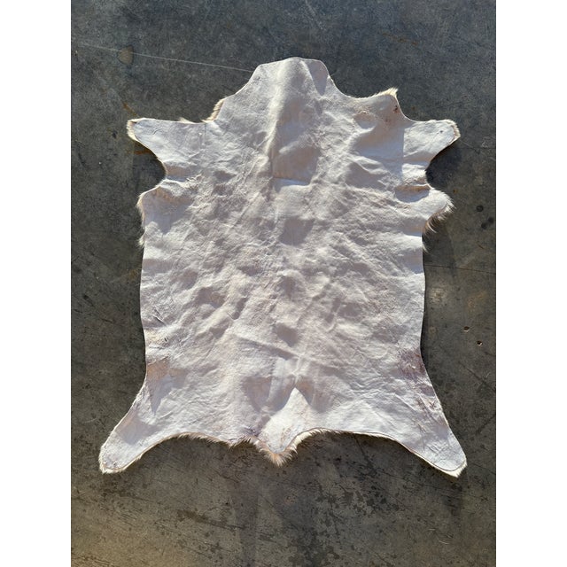 Hair on Hide Genuine Cowhide Mini Wall Hanging/Rug Brown and Tan with Ivory Background and Black stripe down the center...