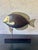 Mid-Century Modern 1970s Mid-Century Modern Wood and Brass Tropical Fish Sculpture For Sale - Image 3 of 5