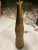 Mid 20th Century Mid-Century Modern Tall Walnut & Cork Table Lamp For Sale - Image 5 of 13