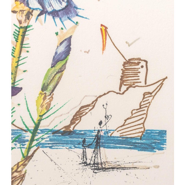 Salvador Dali "Iris (Eyes)" Etching, 1972 For Sale In New York - Image 6 of 13