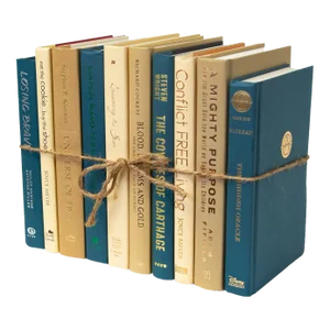 Decorative Books - Sand Dune Book Bundle - 1 Foot of Blue and Tan Books