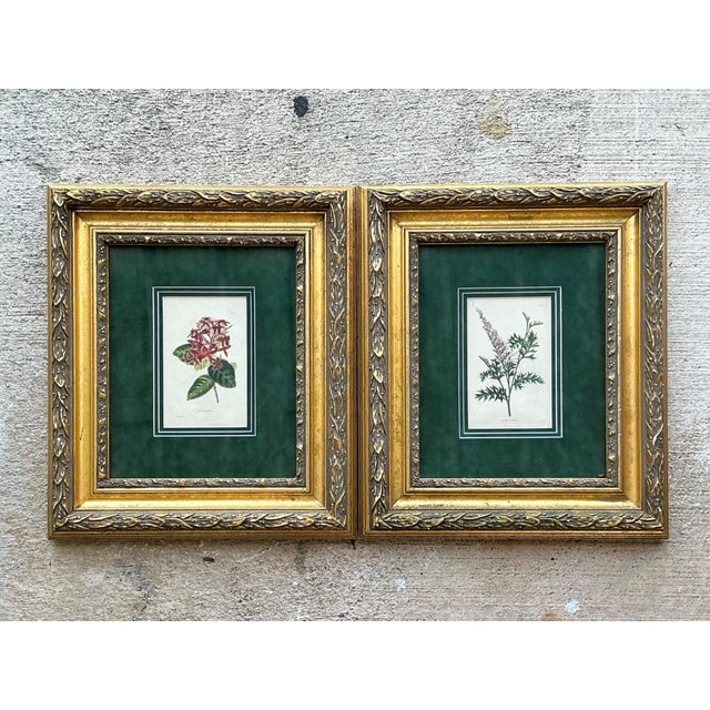 Vintage Framed Botanical Floral Prints - A Pair For Sale In West Palm - Image 6 of 12