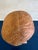 Wood Vintage Hand Carved Wooden Figural Bust For Sale - Image 7 of 9
