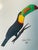 Vintage Costa Rican watercolor on paper of a Toucan bird. Signed and framed in gold tone frame.