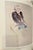 Title: David Hockney: A Drawing Retrospective - 1996 First Edition Exhibition Catalog - Los Angeles County Museum of Art...