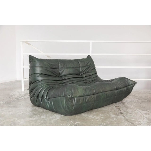 Animal Skin Togo 2-Seater Sofa by Michel Ducaroy for Ligne Roset For Sale - Image 7 of 8