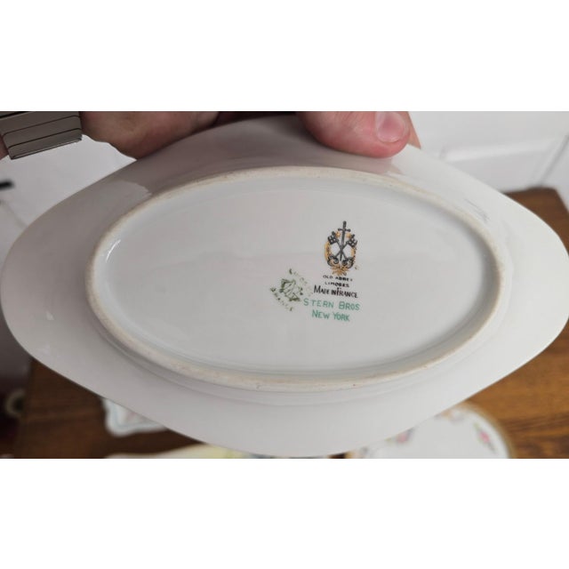 Early 20th Century Antique Old Abbey Limoges Birds of Paradise Serving Dish For Sale - Image 5 of 7