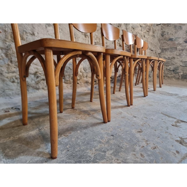 Wood Vintage French Bentwood Bistro Chairs from Luterma, 1950s-1970s, Set of 6 For Sale - Image 7 of 18
