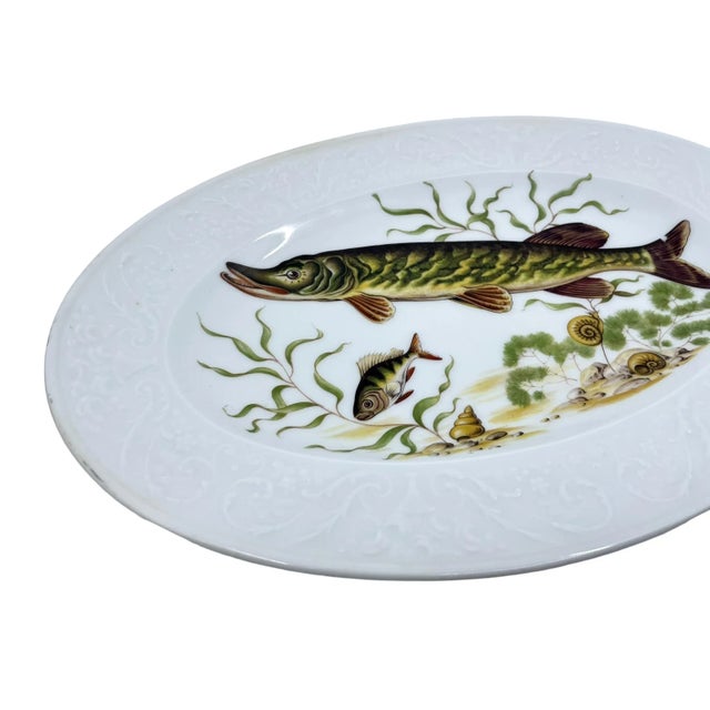 White Antique Pike Fish Limoges Made in France Platter For Sale - Image 8 of 12