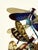 Vintage dragonfly insect art print reproduction by Emile-Allain Séguy, featuring Art Deco–era natural history...