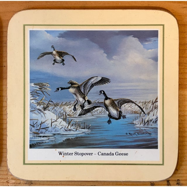 Paper Vintage Traditional Duck Goose Waterfowl Coasters - Sset of 6 For Sale - Image 7 of 11