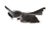 Rosewood Carved Sailfish Figure For Sale - Image 9 of 13