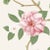 Sanderson Christabel Wallpaper in Coral/Ivory For Sale
