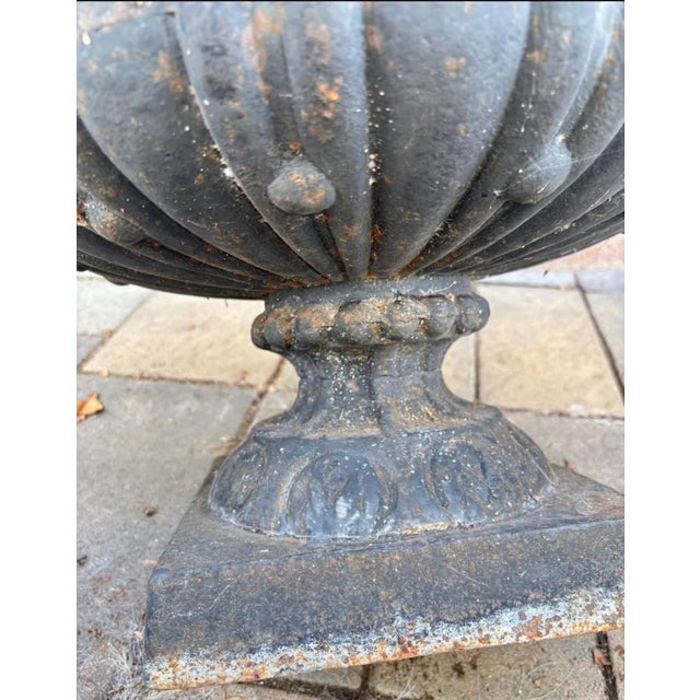 Vintage Ornate Cast Iron Garden Urn Planter With Scroll Handles & Aged Patina For Sale - Image 9 of 12
