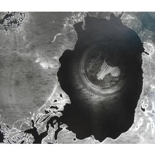 Abstract Photograph With Snake Skull For Sale