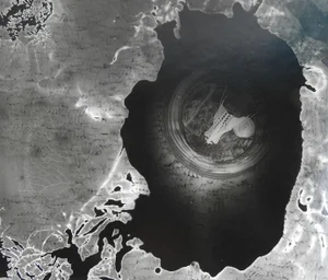 Abstract Photograph With Snake Skull