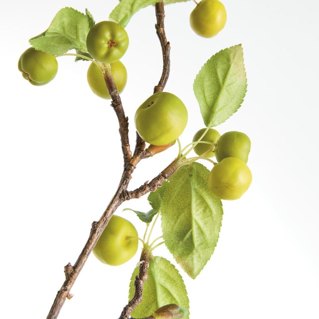 Kenneth Ludwig Chicago Crabapple Branches 45" St/2 For Sale - Image 4 of 10