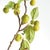 Kenneth Ludwig Chicago Crabapple Branches 45" St/2 For Sale - Image 4 of 10