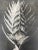 Exquisite Botanical photogravure from famed Urformen Der Kunst portfolio by Blossfeldt . Karl Blossfeldt (1865 - 1932) was...
