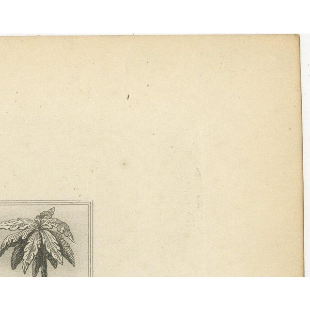 Beige Antique Map of French Senegal, Goree and the Fouta-Djallon, 1860 For Sale - Image 8 of 12