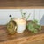 2020s Whit Currant Scented Soy Candle with Pressed Floral Lid 4.25"D For Sale - Image 5 of 5