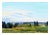 Beautiful landscape titled "Easter morning Littleton, Colorado" by Denver, Colorado artist Betsy Duzan (American, 20th...