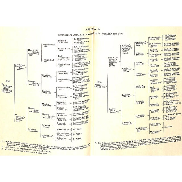 "The Popular Retriever" 1961 Lorna, Countess Howe For Sale - Image 9 of 12