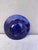 Small Majolica Palissy Fish Wall Platter Circa 1890 For Sale - Image 4 of 5