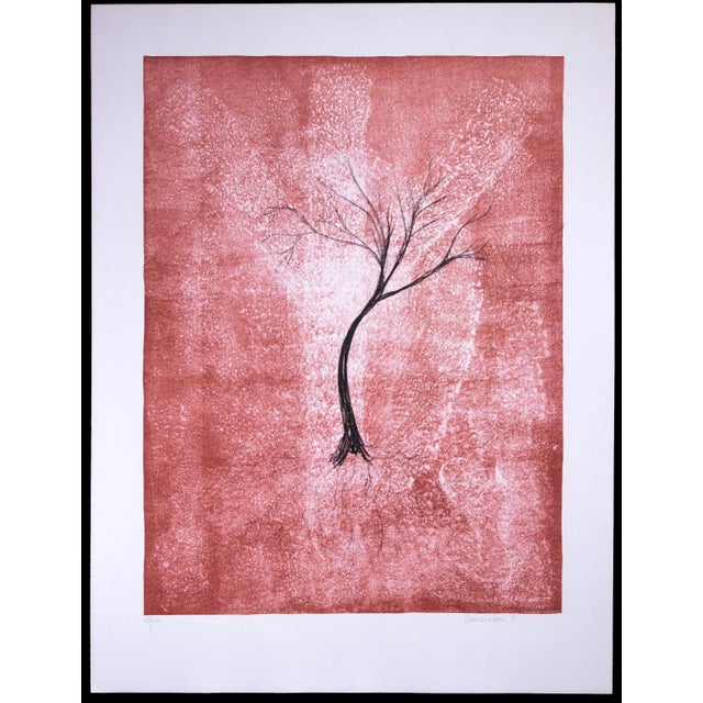 Emilio Conciatori, Tree, Original Lithograph, 1970s For Sale - Image 3 of 3