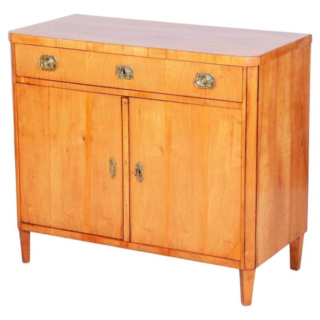 Biedermeier Cabinet in Cherry, Spruce & Ebony, Czech, 1820s For Sale - Image 18 of 18