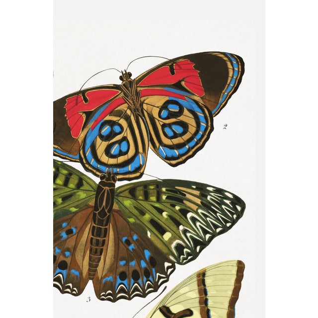 Art Deco Art Deco Butterflies by E. A. Séguy, Vintage Art Print Reproduction, 20" X 30" For Sale - Image 3 of 12