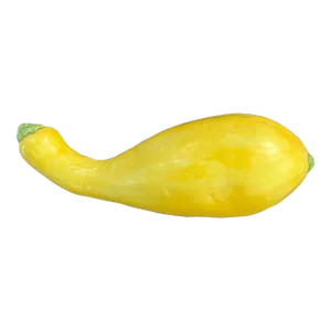 Mary Kirk Kelly Porcelain Vegetable Model of a Yellow Summer Squash