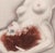 Louis Icart, Very Prominent Nipples from The Life of Breasts, Nude, Original Etching & Aquatint, 1945 For Sale - Image 3 of 7