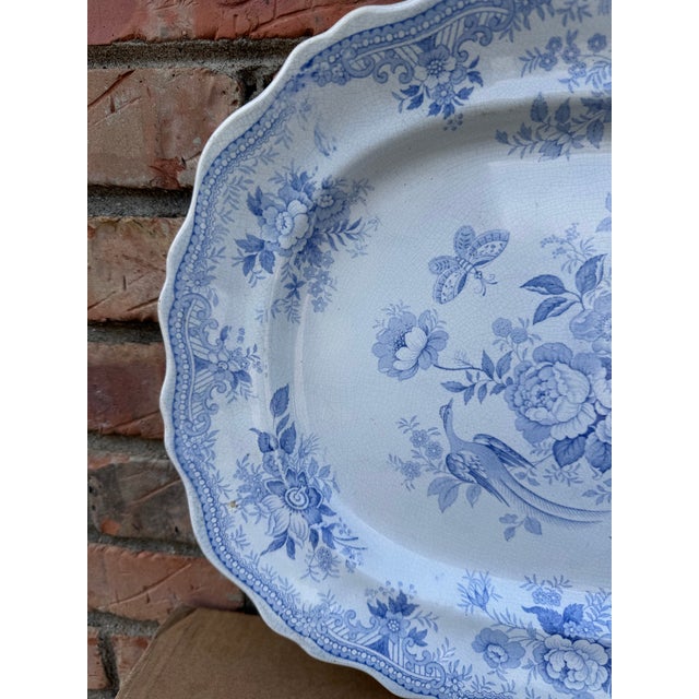 This is a lovely Blue and White Transfer-ware in Asiatic Pheasant design patter. The shape is a rippled octagonal shape. A...