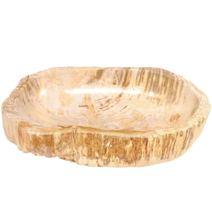 Oval Shaped Polished Petrified Wood Sink