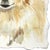 2020s Small & Fluffy - Abstract Expressive Dog Portrait Mixed Media Painting on Paper Original Artwork by Kellie Newsome For Sale - Image 5 of 6