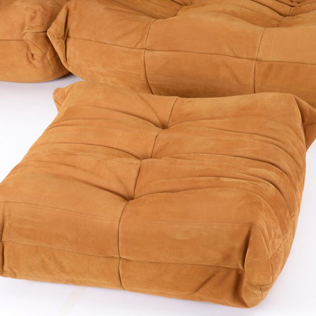 Animal Skin Authentic Togo Sofa 5-Piece Set – Cognac Nubuck For Sale - Image 7 of 17