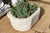 Contemporary Monumental Chiseled Alabaster Marble Basin For Sale - Image 3 of 9