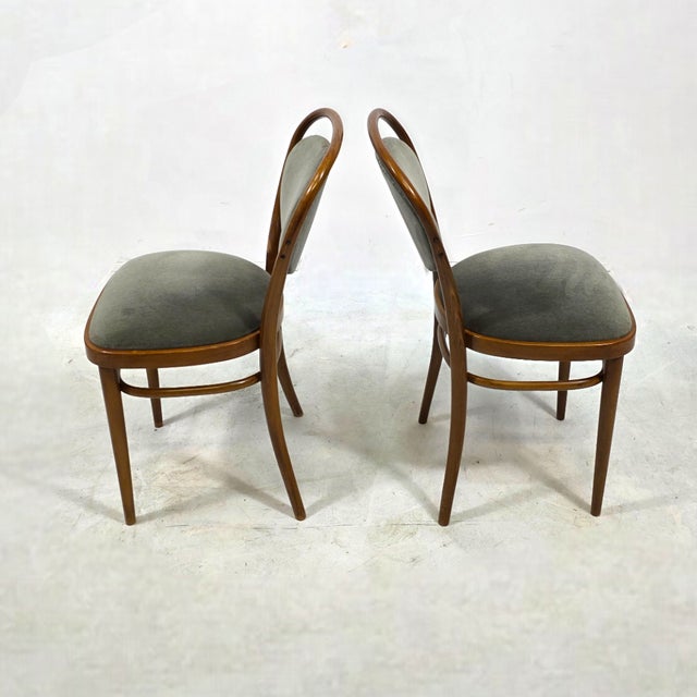 Mid-Century Modern Vintage Chairs in Velours and Table from Thonet, 1970s, Set of 7 For Sale - Image 3 of 12