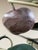 Mid 20th Century Vintage Italian Tole Chandelier With Pears and Plums For Sale - Image 5 of 9