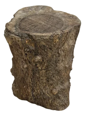 Skinny Textured Free-Form Tree Trunk Side Pedestal Table